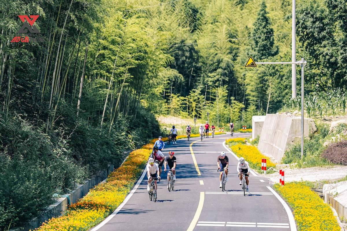 FX203369.JPG